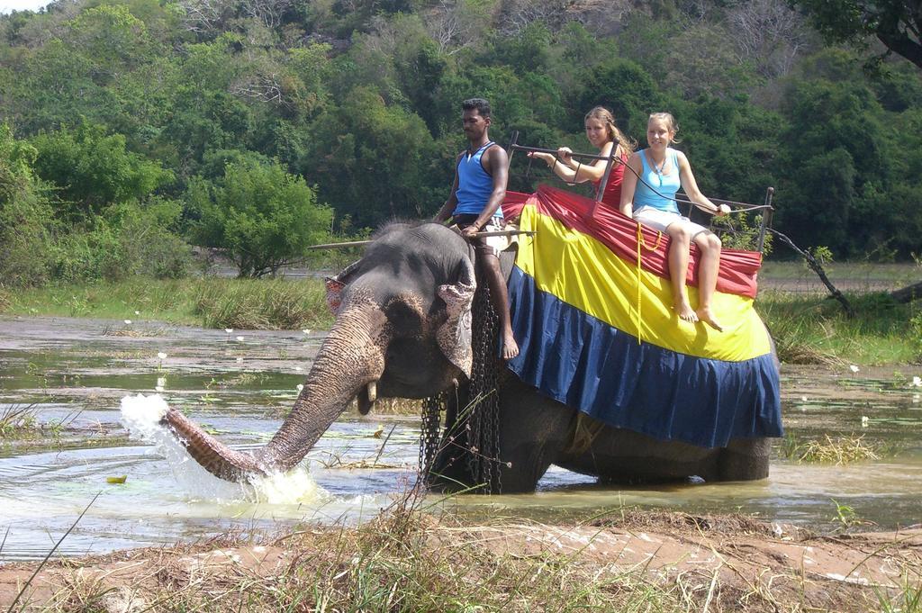 Risenlak Holiday Resort Polonnaruwa Luaran gambar