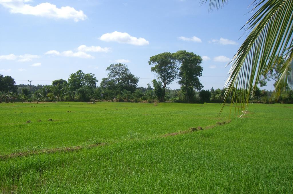Risenlak Holiday Resort Polonnaruwa Luaran gambar