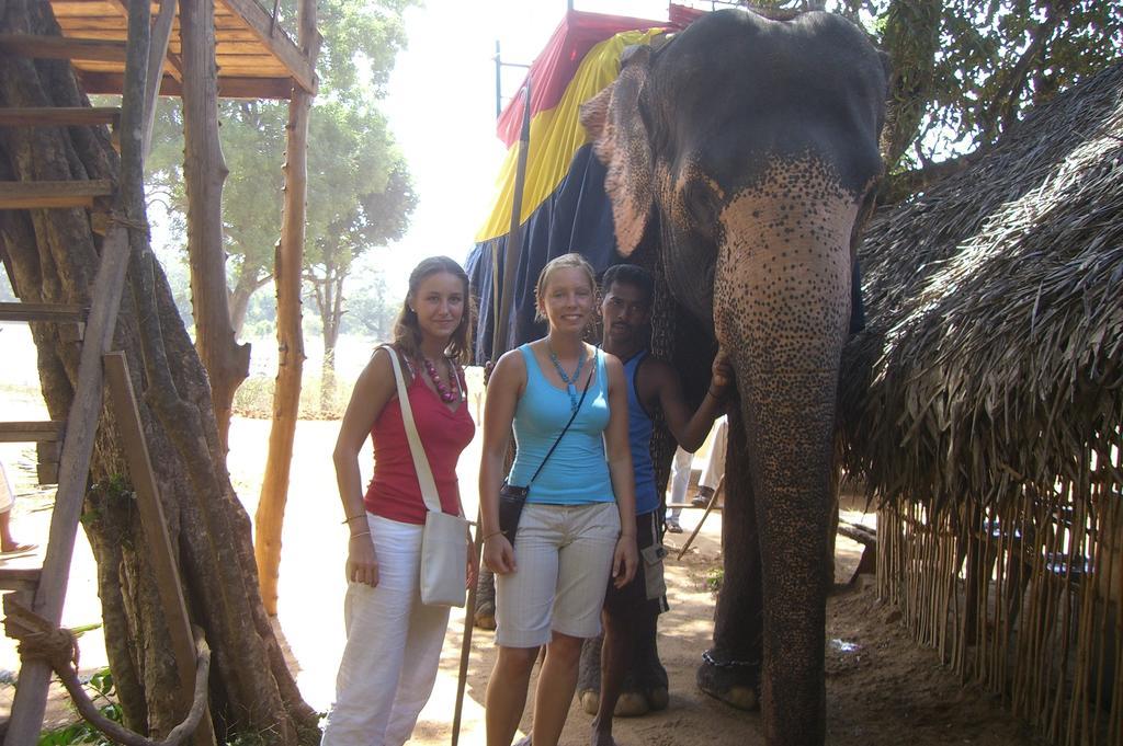 Risenlak Holiday Resort Polonnaruwa Luaran gambar
