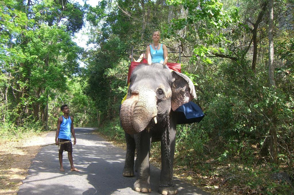 Risenlak Holiday Resort Polonnaruwa Luaran gambar